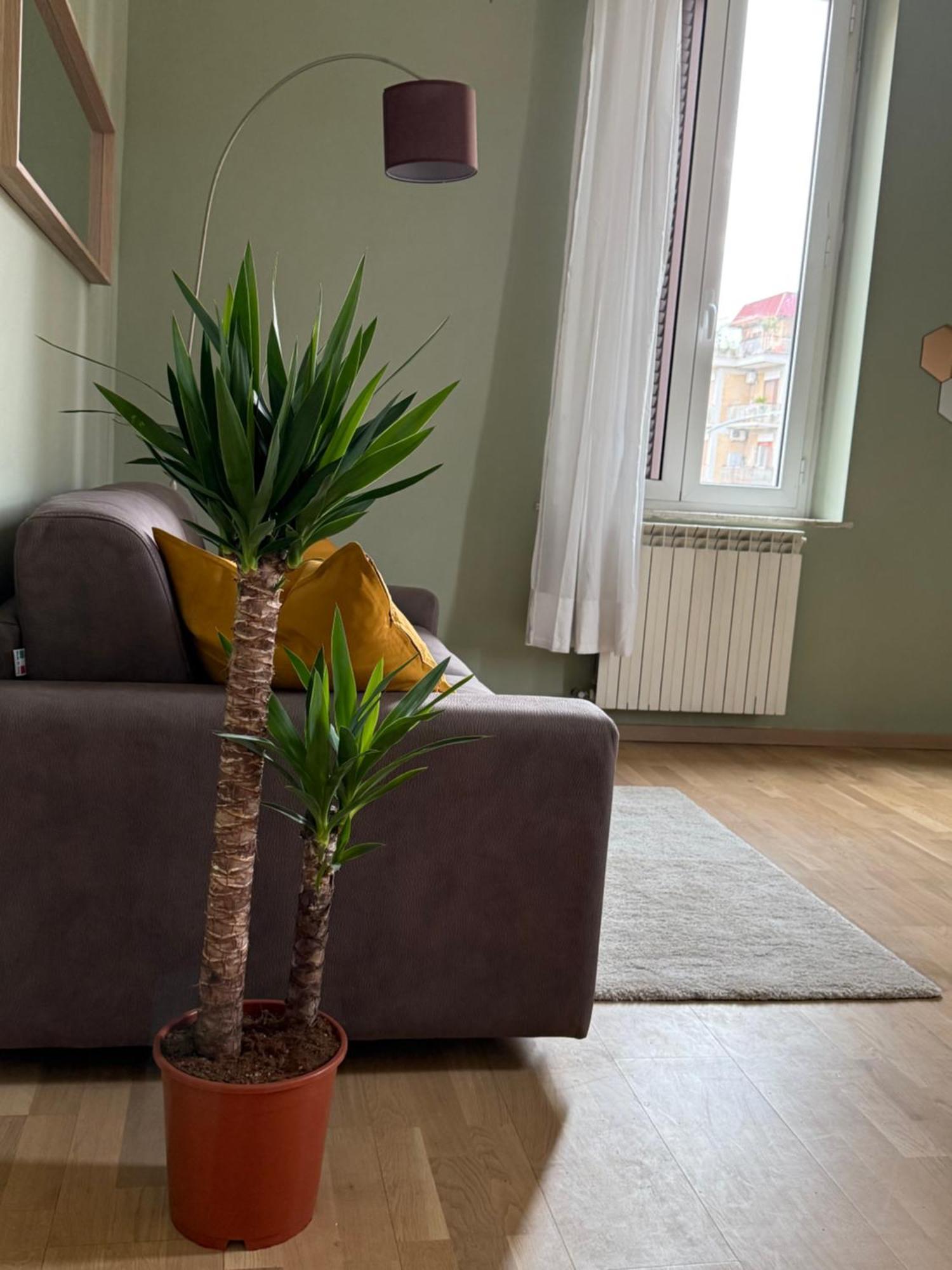 The Beauty House Vakantiehuis Rome